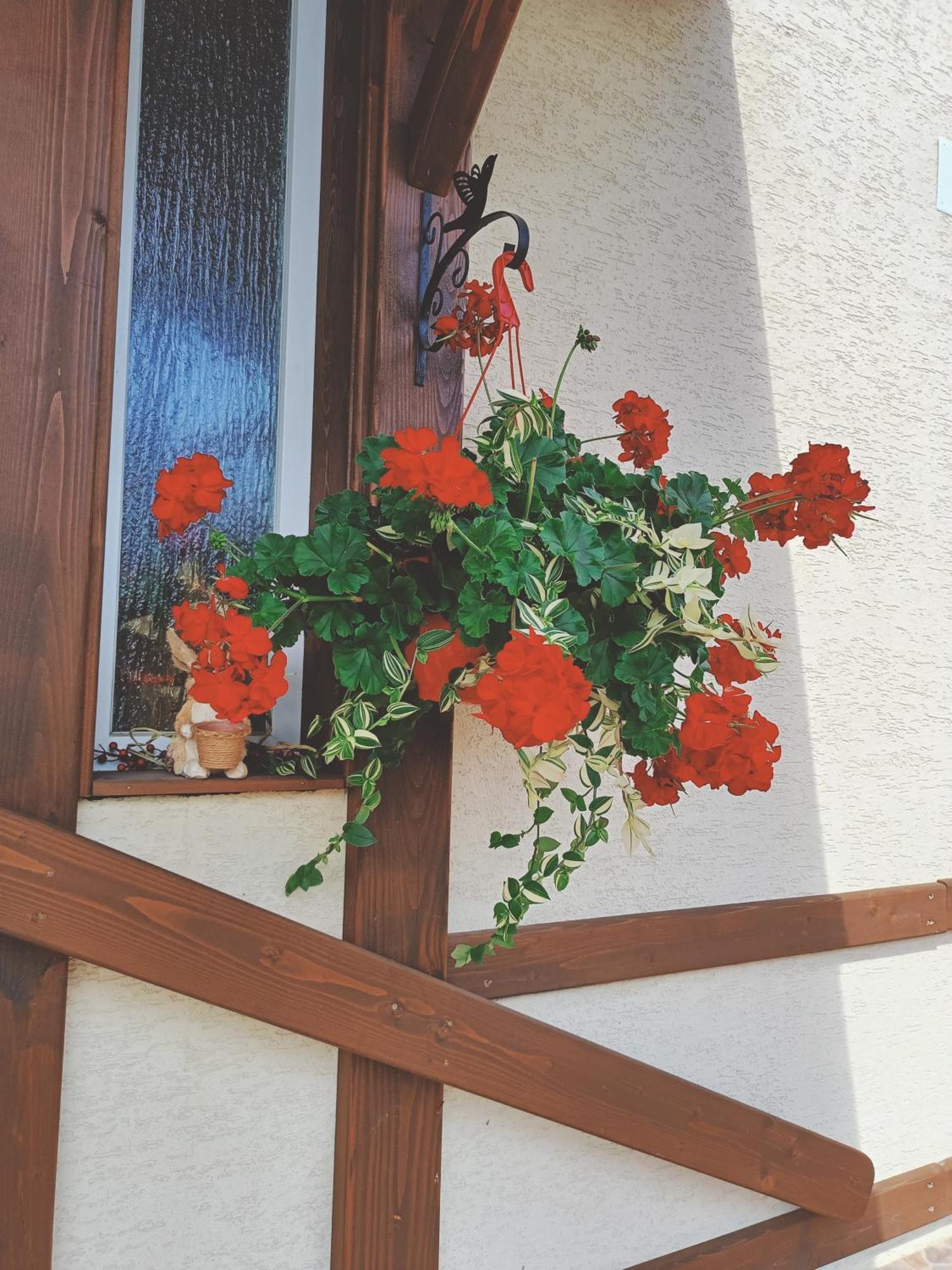 Residence Rooms Bucovina Câmpulung Moldovenesc Екстериор снимка