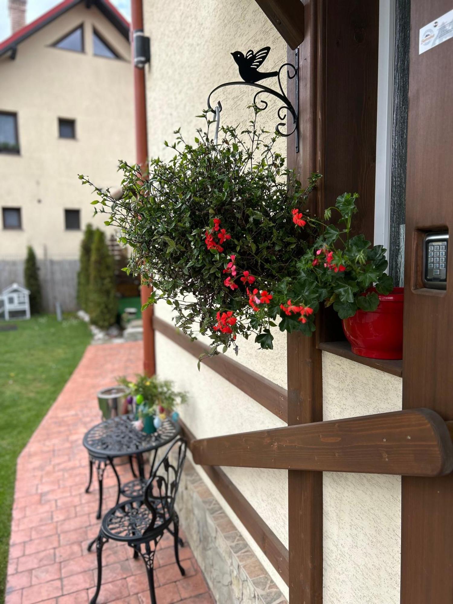Residence Rooms Bucovina Câmpulung Moldovenesc Екстериор снимка